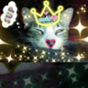 Meet your Posher, Crystal